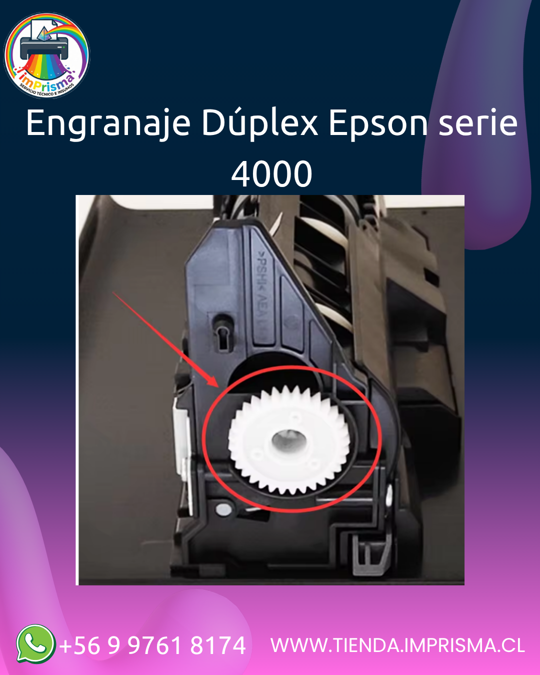 Engranaje Dúplex Epson serie 4000
